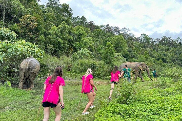 Chiang Mai Half Day Elephant Sanctuary Observation and Waterfall