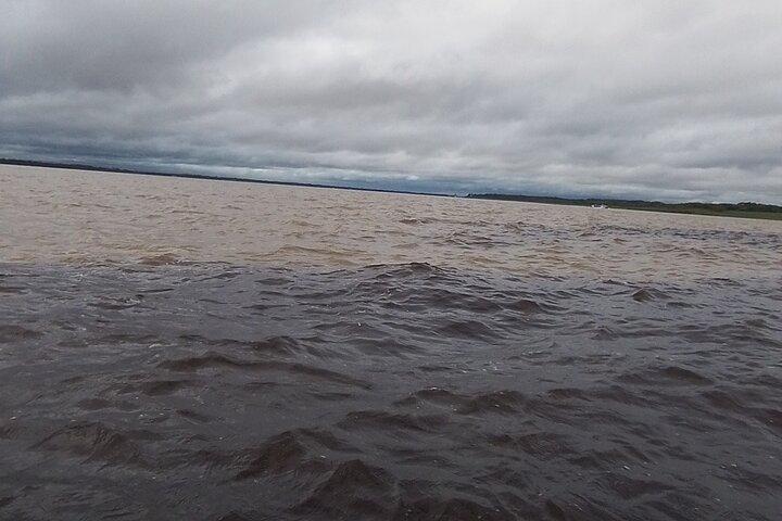 Amazon Safari Tour in Manaus (Shared:)