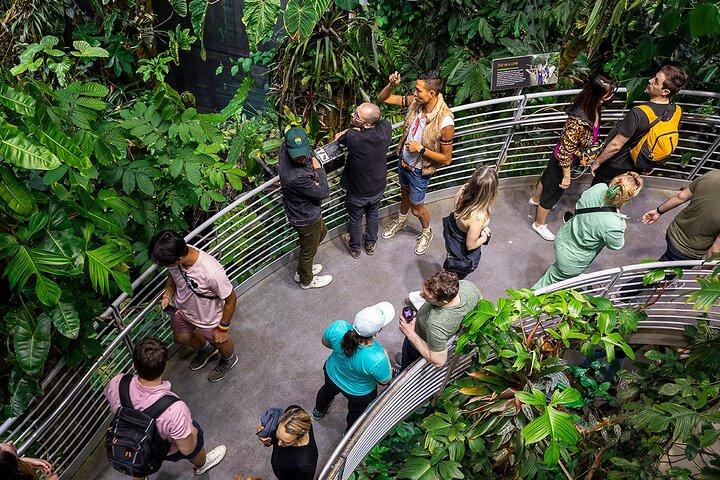 California Academy of Sciences NightLife Admission Ticket