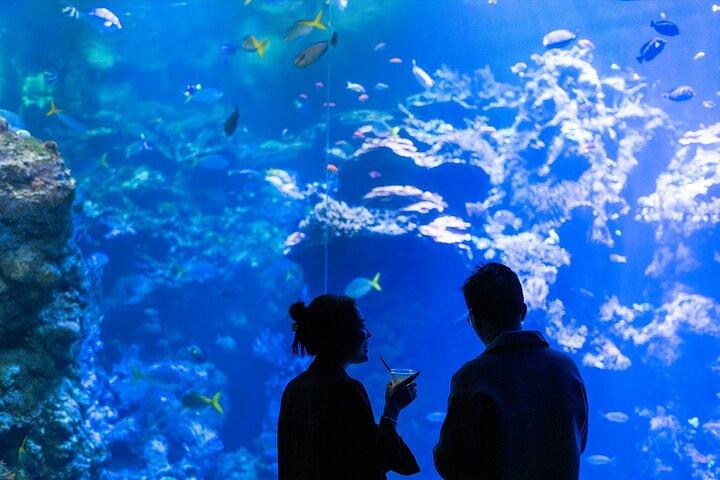 California Academy of Sciences NightLife Admission Ticket