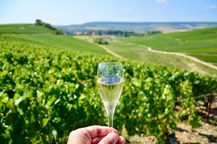 Champagne vineyards & cellars tour with Sommelier from Paris