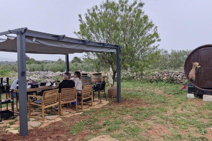 Cooking Class on Hvar Island: A Farm-to-Table Experience