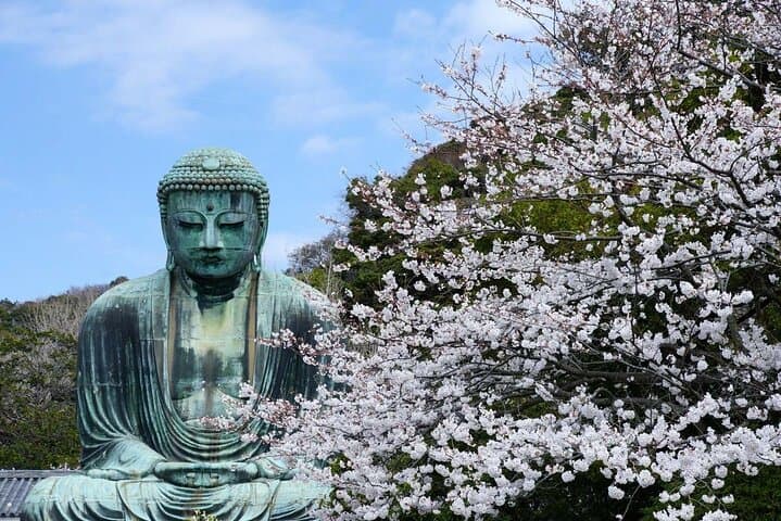 Kamakura Full Day Tour: Kotoku-in & Enoshima & Hachimangu Shrine