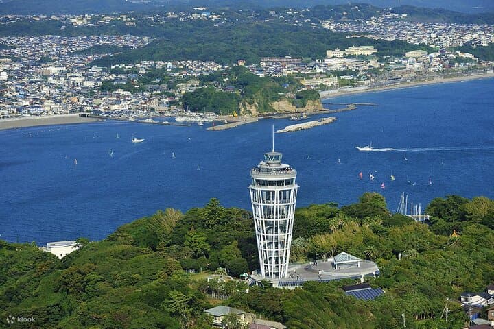 Kamakura Full Day Tour: Kotoku-in & Enoshima & Hachimangu Shrine