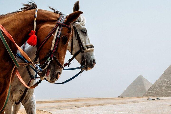 Cairo/Giza: Arabian Horse Tour Around the Giza Pyramids