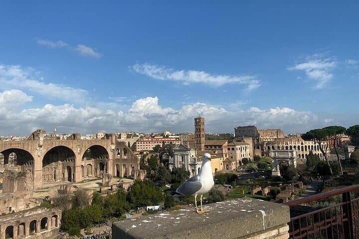 Colosseum, Roman Forum & Palatine Hill Admission With Audio App