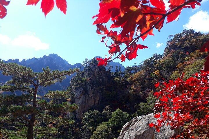 Autumn Foliage-Mt. Seorak, Sokcho Fish Market, Sokcho Beach