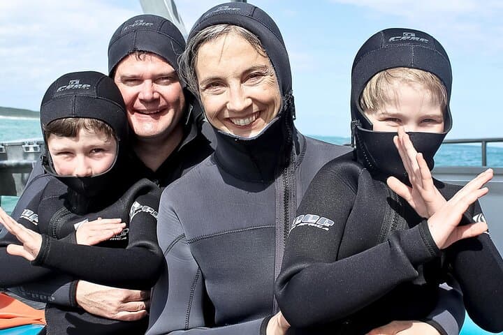 Shark Cage Diving and Viewing with transport from Cape Town
