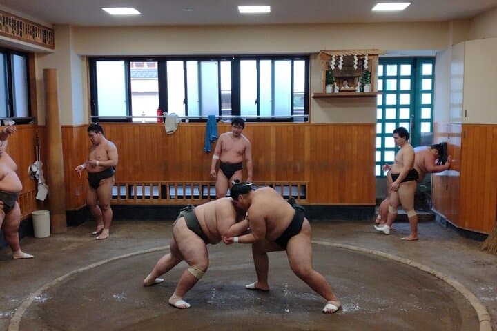 Tokyo Sumo Practice Watching & Visit Old Town Museum