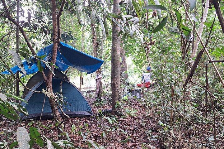 Amazon Untamed Expedition 3 Days and 2 Nights pacaya samiria