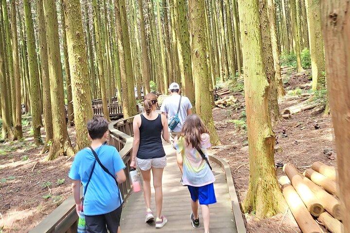 Half or Day Tour For Cruise customers arriving at Jeju City Port