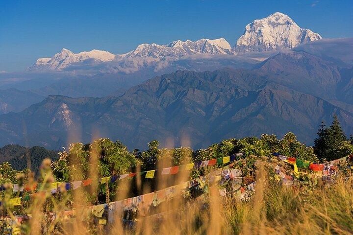 Pokhara 3 Days Ghorepani and Poon Hill Private Trek via Ghandruk