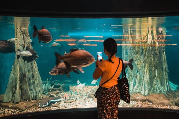 Malaysia: Aquaria KLCC Admission E-Ticket