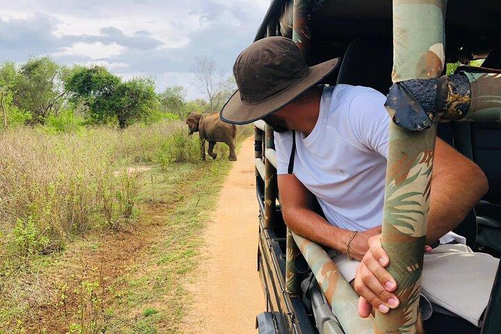 04 Hours Safari Jeep Tours