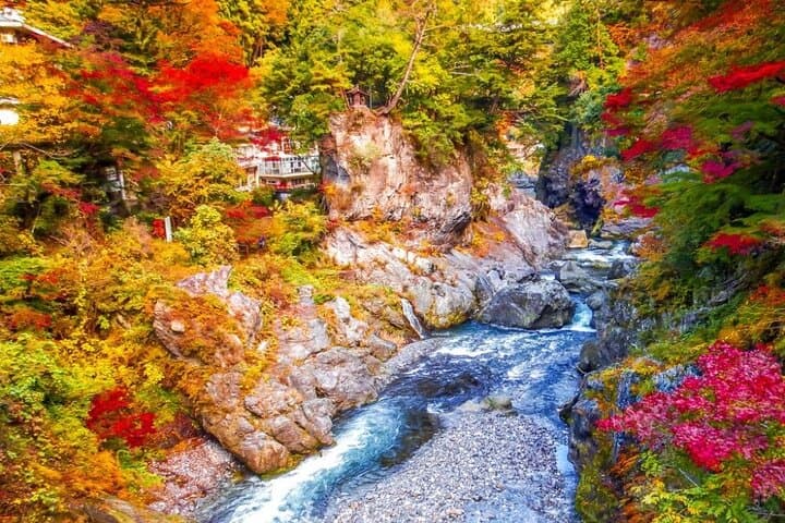 Tokyo Okutama Day Trip Tour