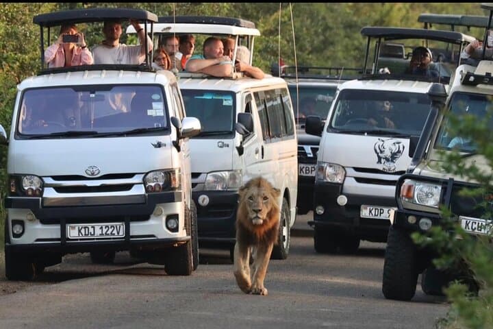 Maasai Mara Day Trip