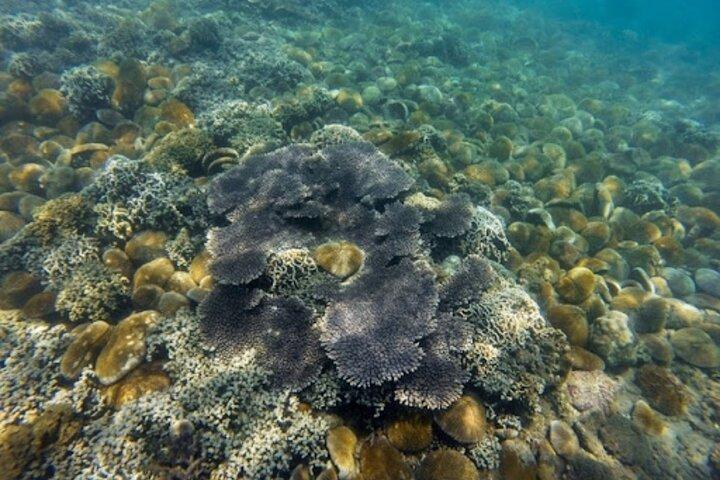 Mui Ne: Discover Pottery Village, Hidden Waterfall & Vinh Hy Bay