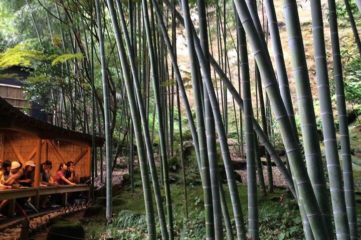 Kamakura Walking Tour with Local Guide Including Hokokuji Temple