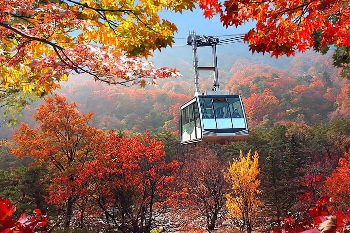 Mt. Seorak+Nami Island+Garden of Morning Calm Day Trip from Seoul