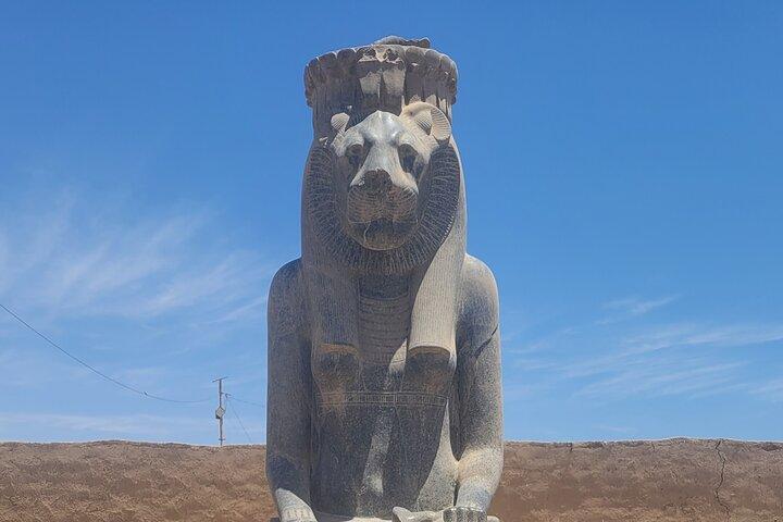 Full Day Tour from Cairo To Luxor by Flight include King Tut Tomb
