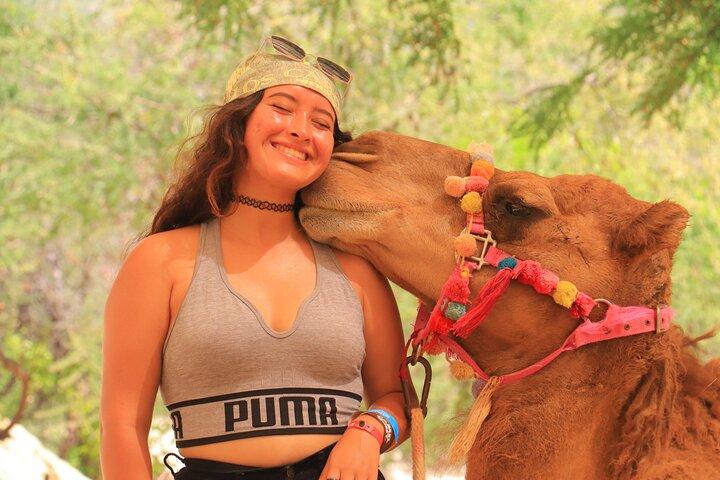 Camel Ride in the Canyon and Thrilling Water Slides and Snacks