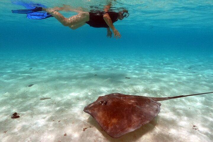 Extra Tahaa Island Boat and Full Day Tour