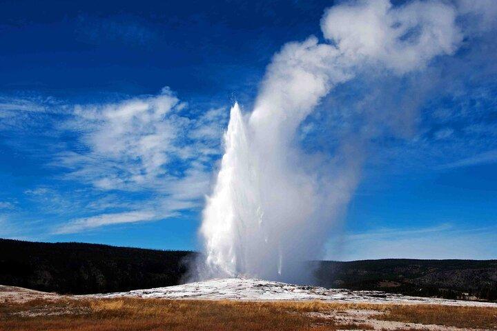 Yellowstone Grand Teton & Jackson Hole 5-day Fully Guided Tour