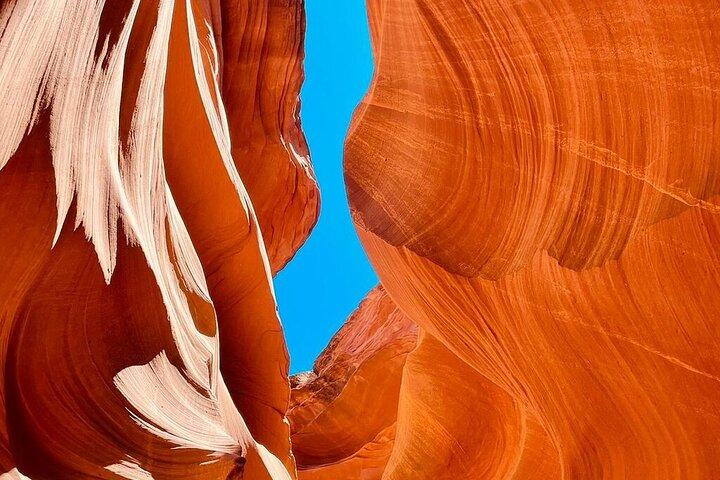 7 Days Tour of Los Angeles, Vegas, Yellowstone and Salt Lake City