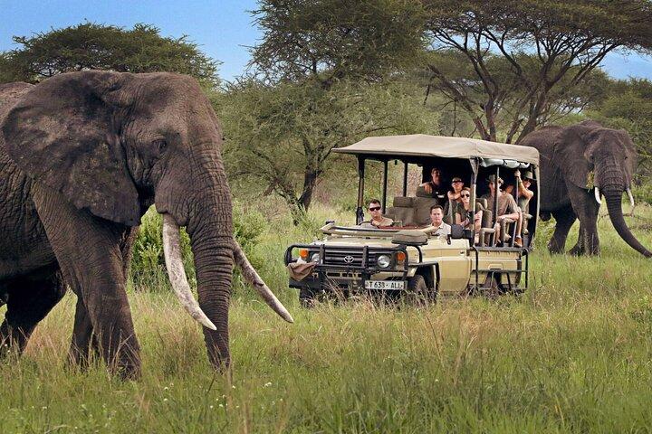 Safari to Tarangire National Park and Ngorongoro Crater