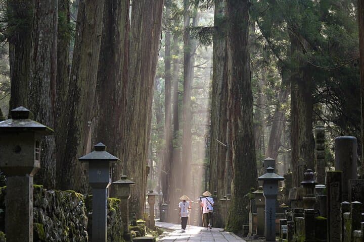 Koyasan Private Day Trip from Osaka or Kyoto with English Driver