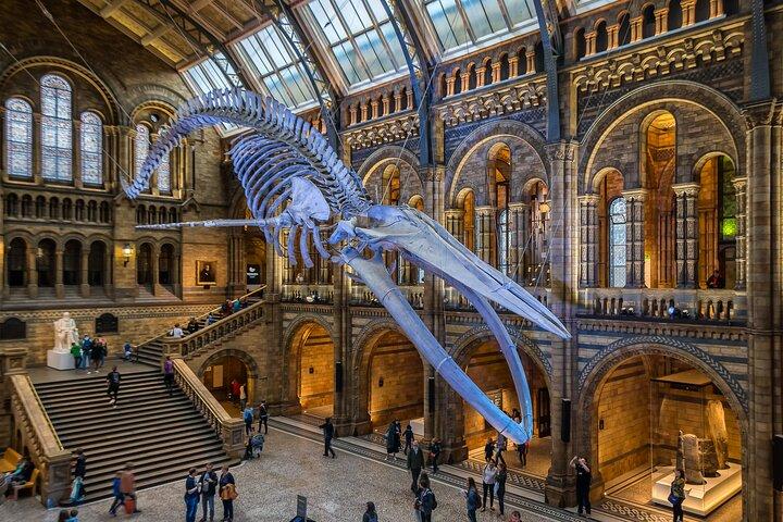 Natural History Museum Walking Guided Tour of London