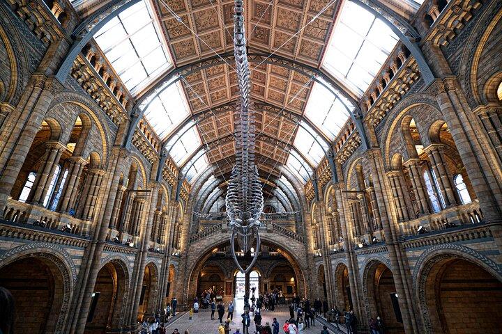 Natural History Museum Walking Guided Tour of London