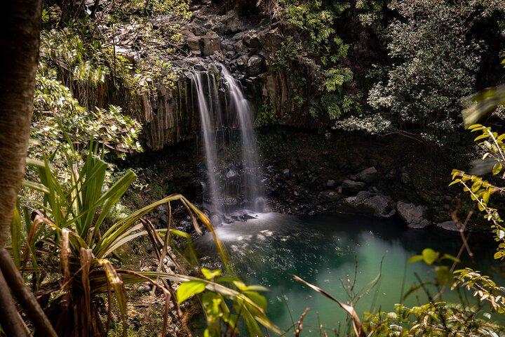 Small Group Waterfall and Rainforest Hiking Adventure on Maui