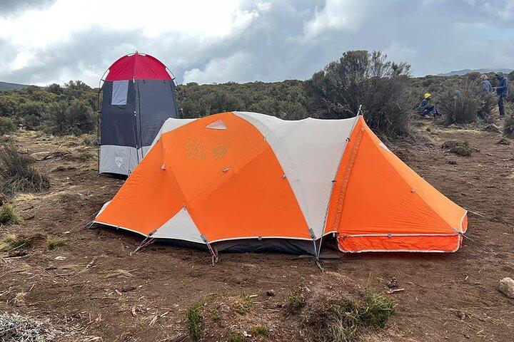 8 Days Lemosho Route Climbing Mount Kilimanjaro