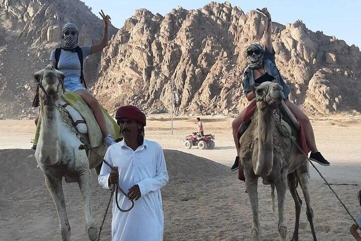 Safari 5 in 1 Quads Camels Star Gazing in Sharm El Sheikh