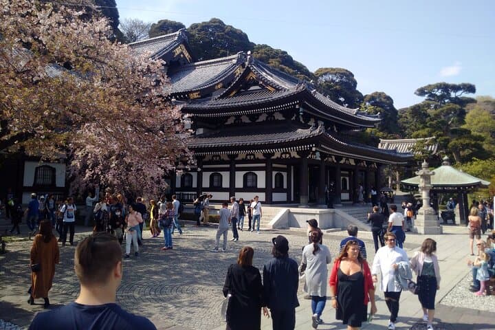 From Tokyo Kamakura and Enoshima Private Day Tour