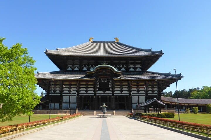 Osaka&Nara Private Highlights Customizable Tour English Driver