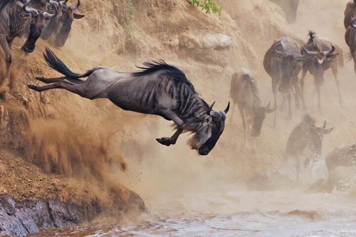 5 Days Tour at East Africa Safari Lake Nakuru and Lake Naivasha