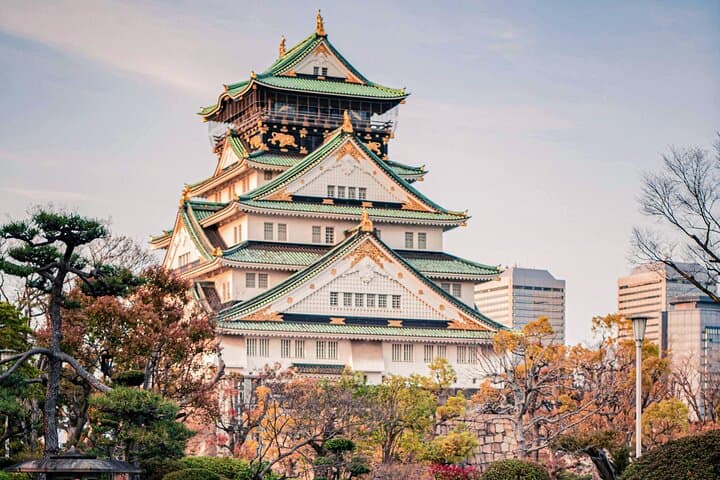 Osaka&Nara Private Highlights Customizable Tour English Driver