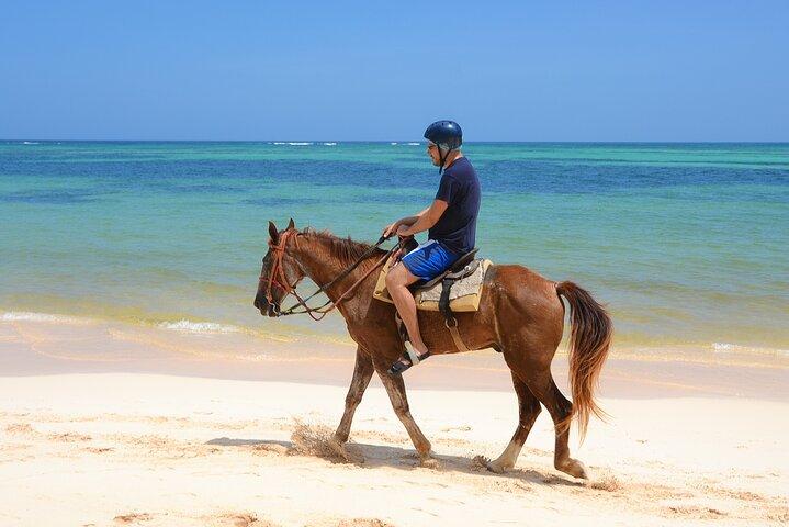 Shared horseback riding Punta Cana Beach