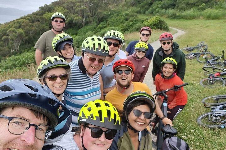 Wellington Guided eBike Tour-Cruise Shore Excursion