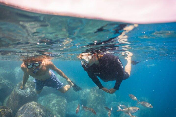 Funchal: Snorkeling Adventure in Eco-Park / Shore or by Boat
