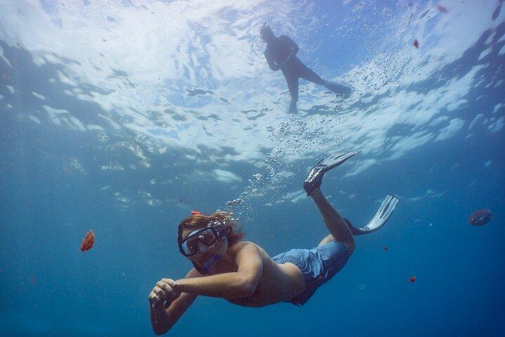 Funchal: Snorkeling Adventure in Eco-Park / Shore or by Boat