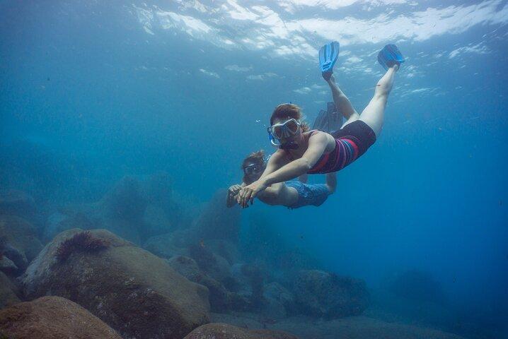 Funchal: Snorkeling Adventure in Eco-Park / Shore or by Boat
