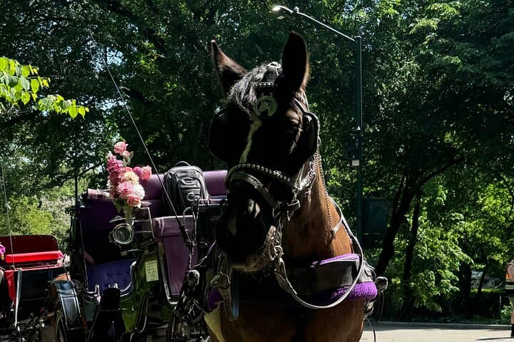 NYC Empire State Horses Carriage Ride in Central Park(55 Mins)