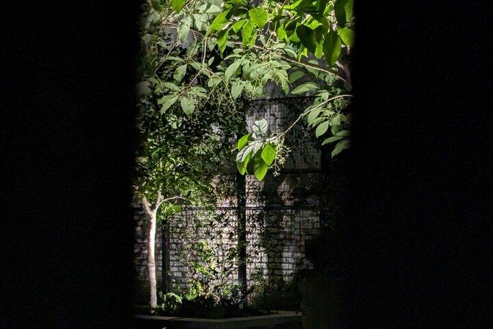 Interactive Paranormal Ghost Walking Tour in Savannah Georgia