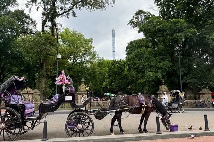 NYC Empire State Horses Carriage Ride in Central Park(55 Mins)
