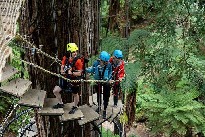 Rotorua: Redwoods Altitude High Ropes Adventure