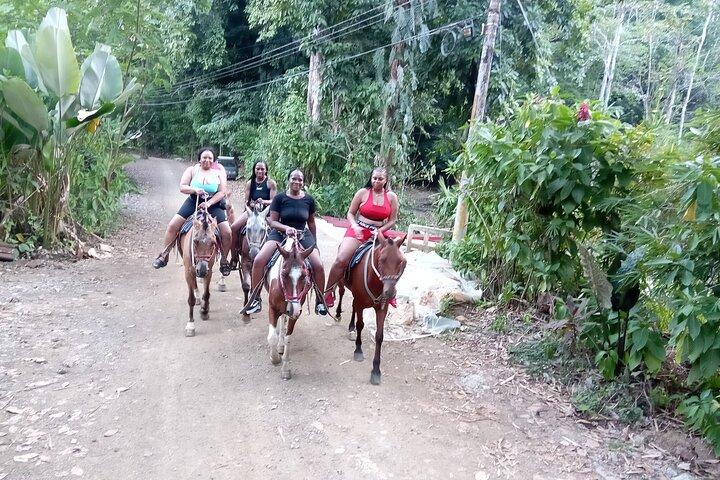 Jaco Horseback Riding Adventure Tours