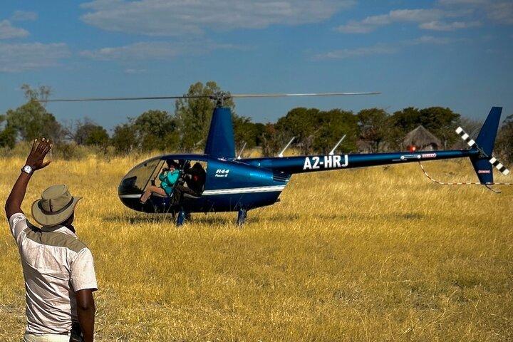 Full-Day Mokoro Experience in the Okavango Delta